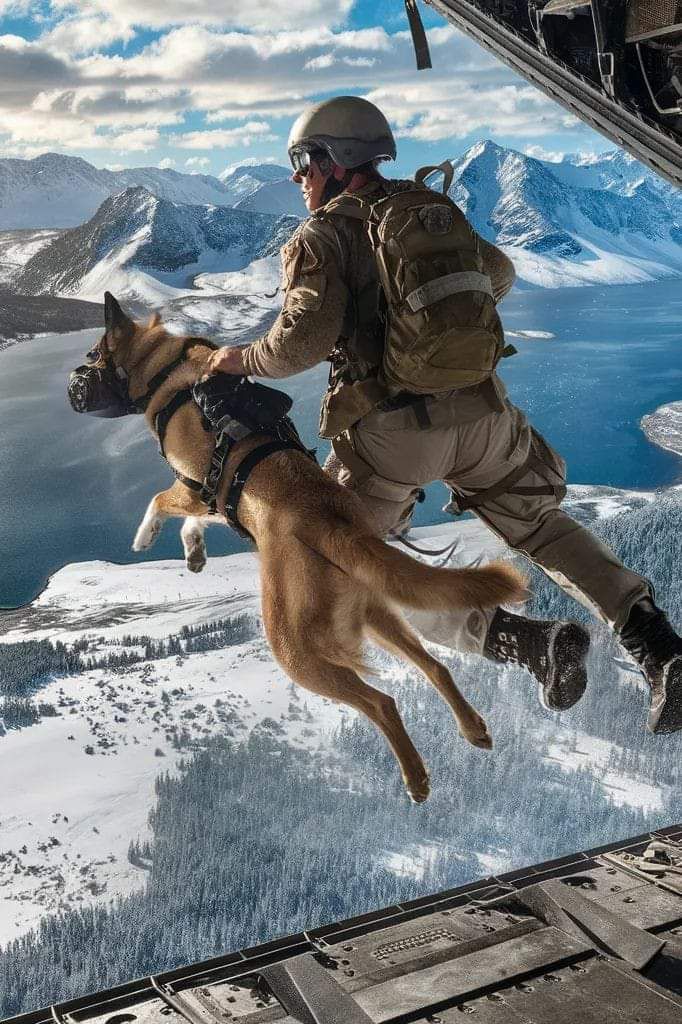 US MILITARY dogs parachute out airplanes and rappel down from helicopters