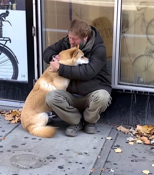Dog Goes to Closed Store Daily then Leaves, One Evening Poor Boy Notices and Follows It — Story of the Day