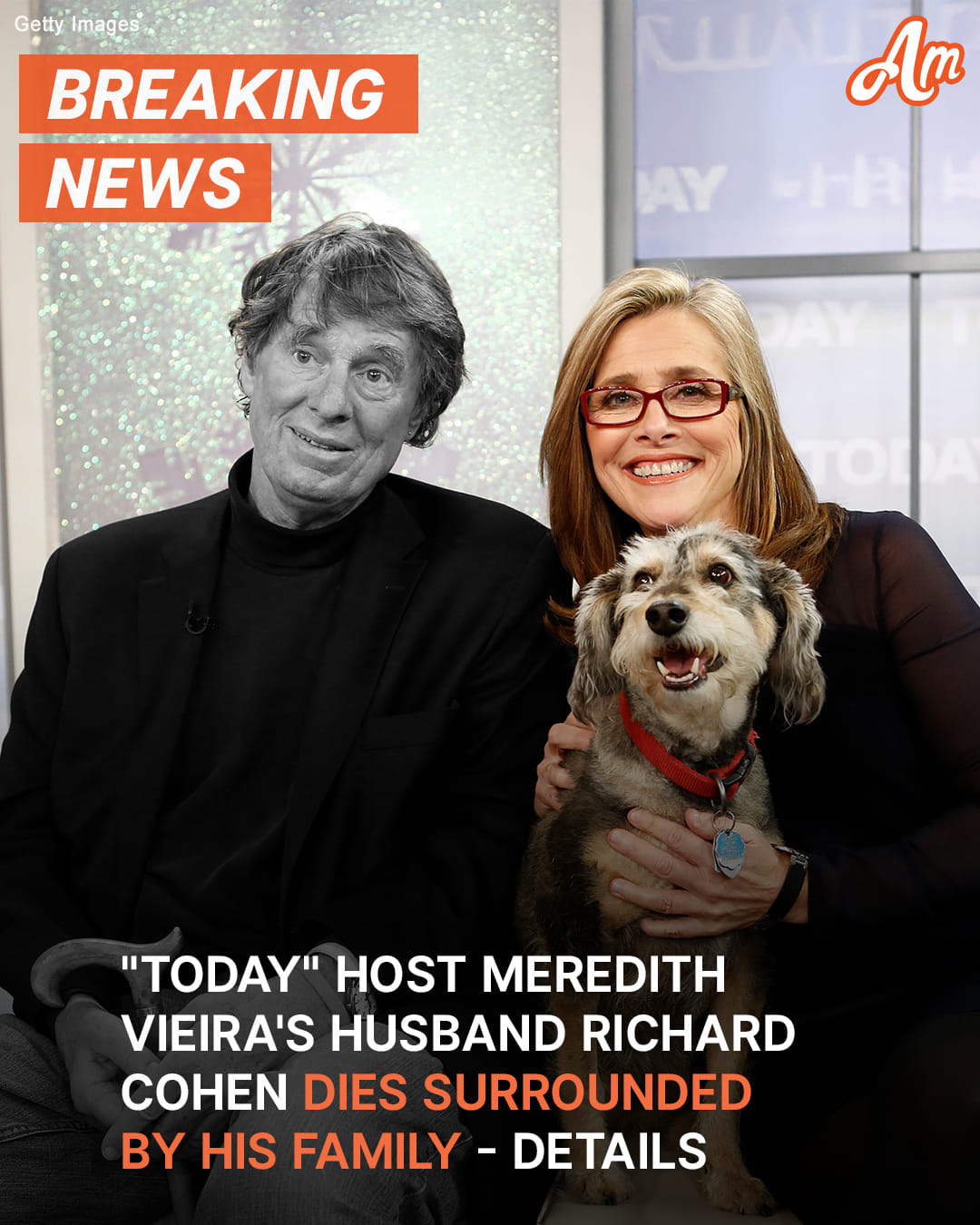 ‘Today’ Host Meredith Vieira’s Husband, Richard Cohen, Dies — Details