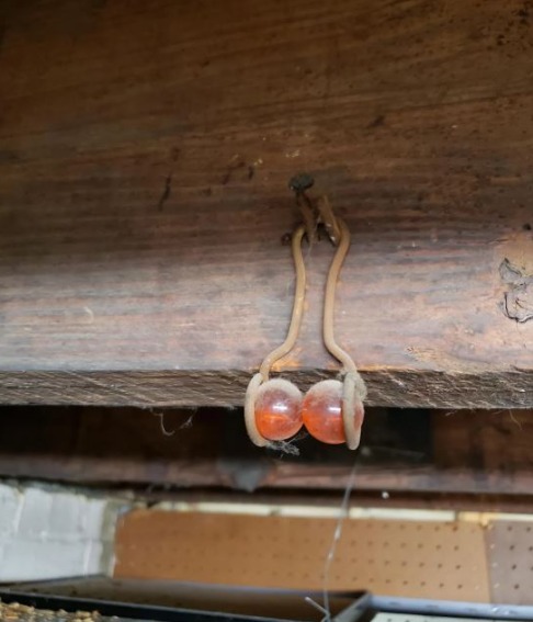 It was an Accessory to a Common Grooming Tool, But It’s Now Nothing More Than an Antique Relic