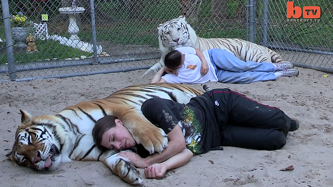 Florida Woman Keeps Bengal Tigers In Her Garden (Video)