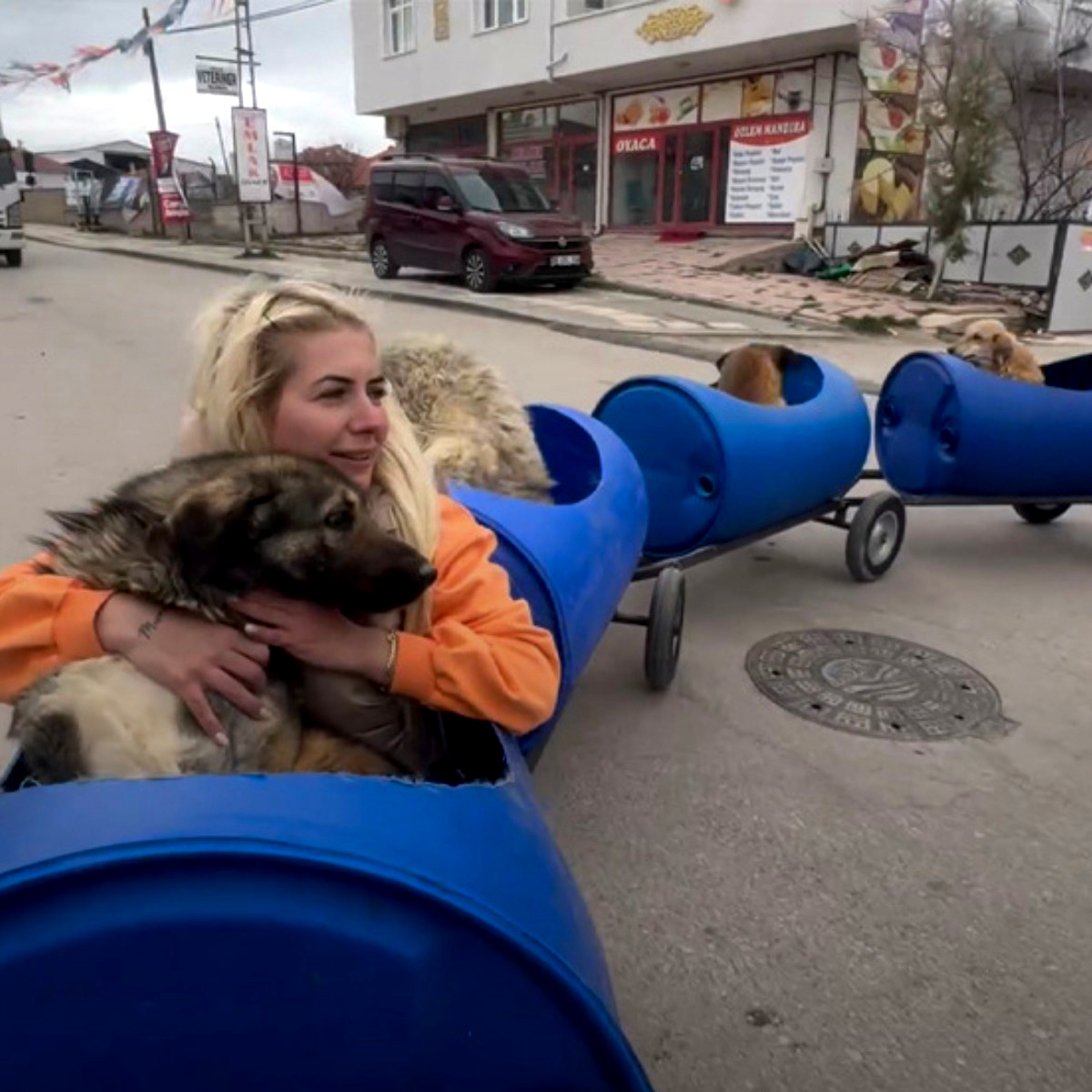 Woman Builds a ‘Dog Train’ to Take Disabled Rescue Pups on Joyful Adventures