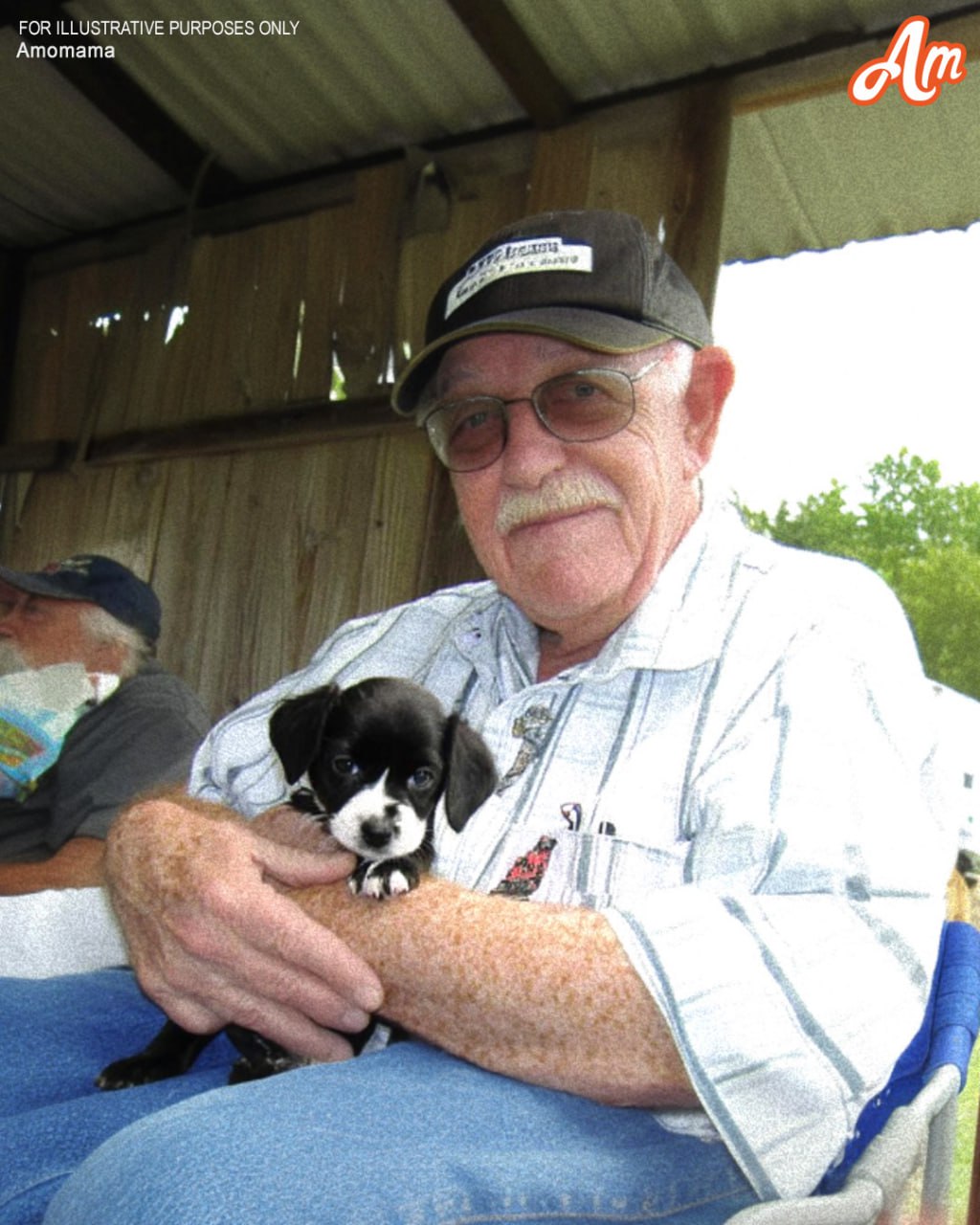 Abandoned Dog Becomes the Angel an Elderly Widower Prayed For.