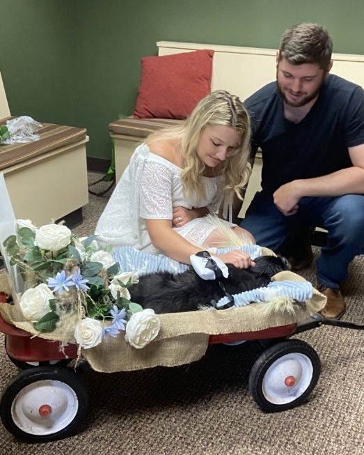 Couple gets married at the vet so elderly dog can be there for their wedding