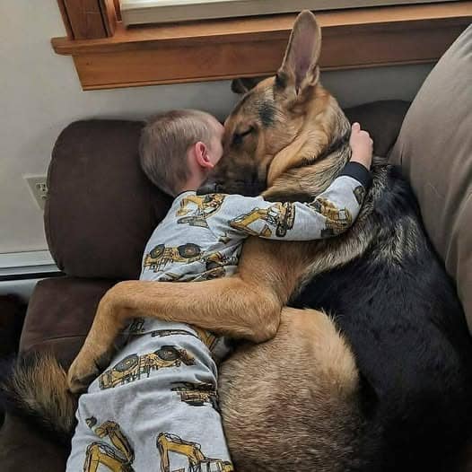 Animal photos that make us smile and brighten our day