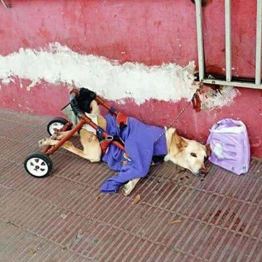 From Abandonment to Love: Lunita’s Inspiring Journey