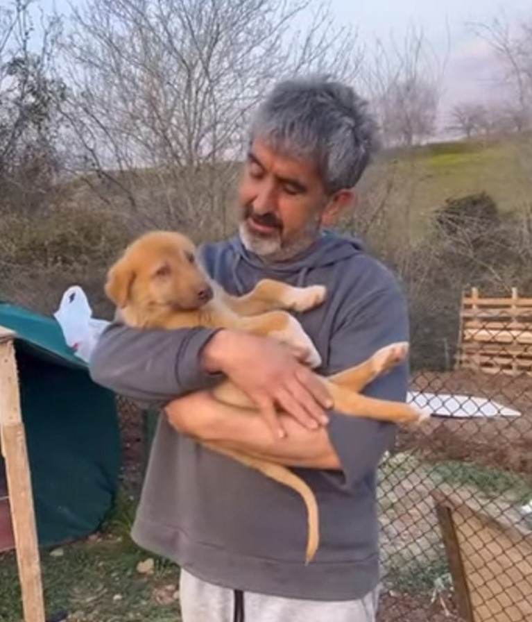 Puppy With A Broken Spine Couldn’t Stop Crying From The Pain When Good Souls Found Him