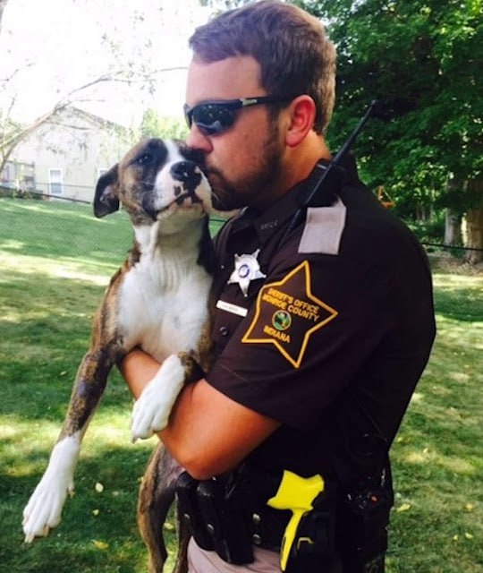 A neglected dog in a garden is taken in by the police officer who saved her