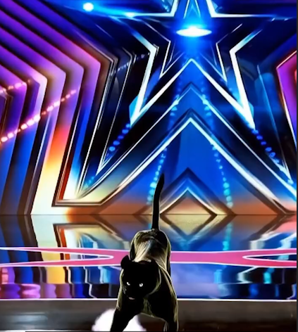 Guy Turns into a Black Panther On AGT