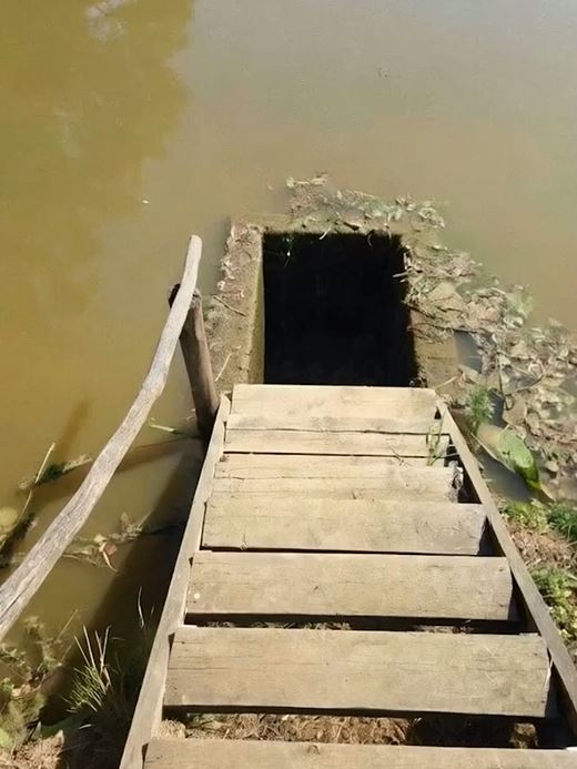 Uncovering the Unwanted Past: A Couple’s Terrifying Discovery