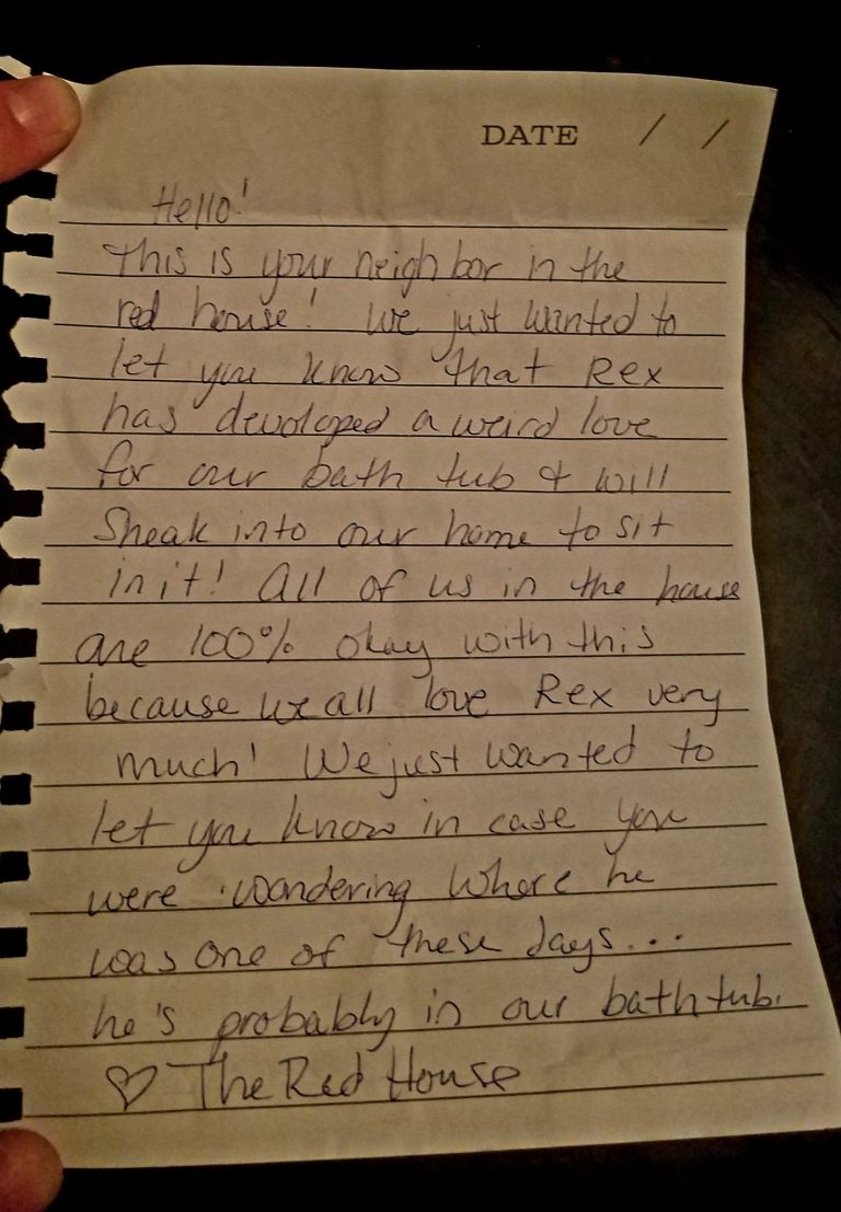 Woman discover note from neighbor attached to cat’s collar and doubles over laughing