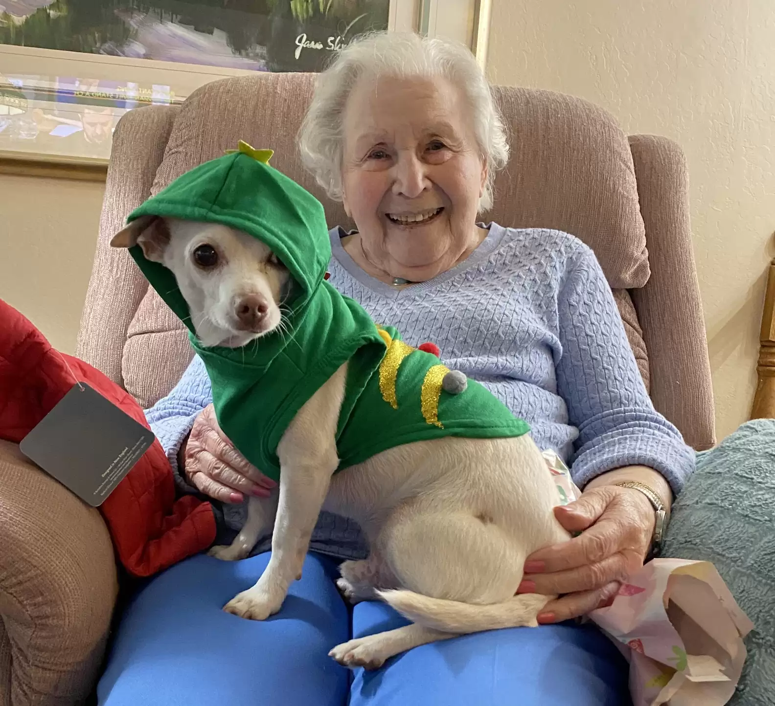 No One Wanted This Senior Dog — Then 100-Year-Old Woman Applied To Adopt Him