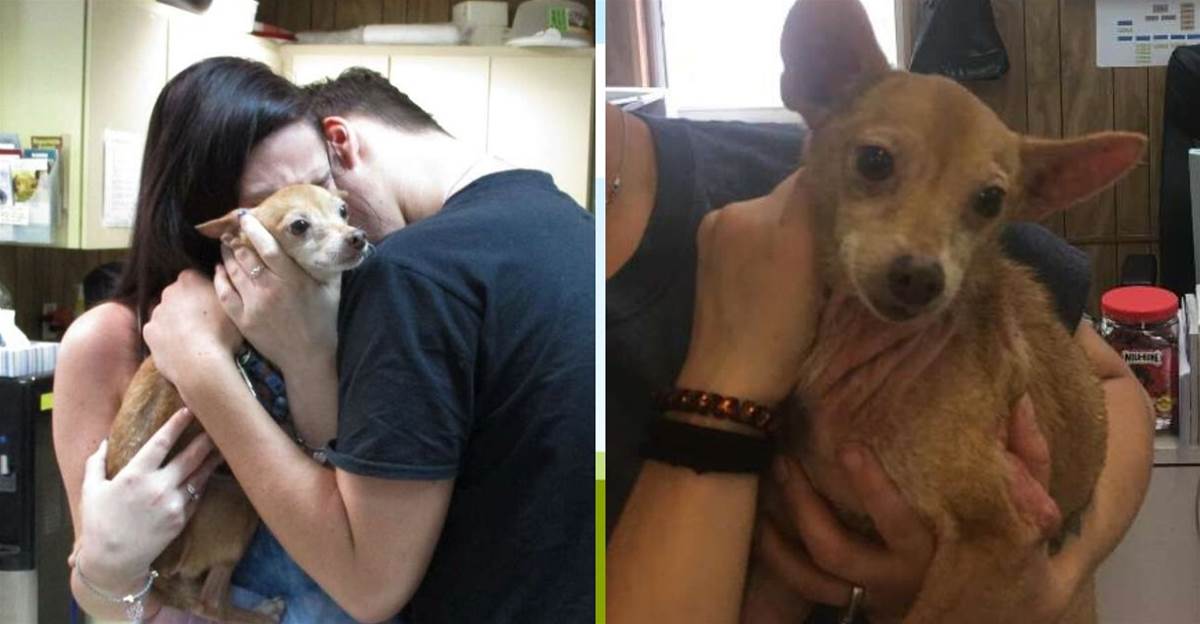 After 6 years living alone in the garbage, a little dog reunites with his long-lost family