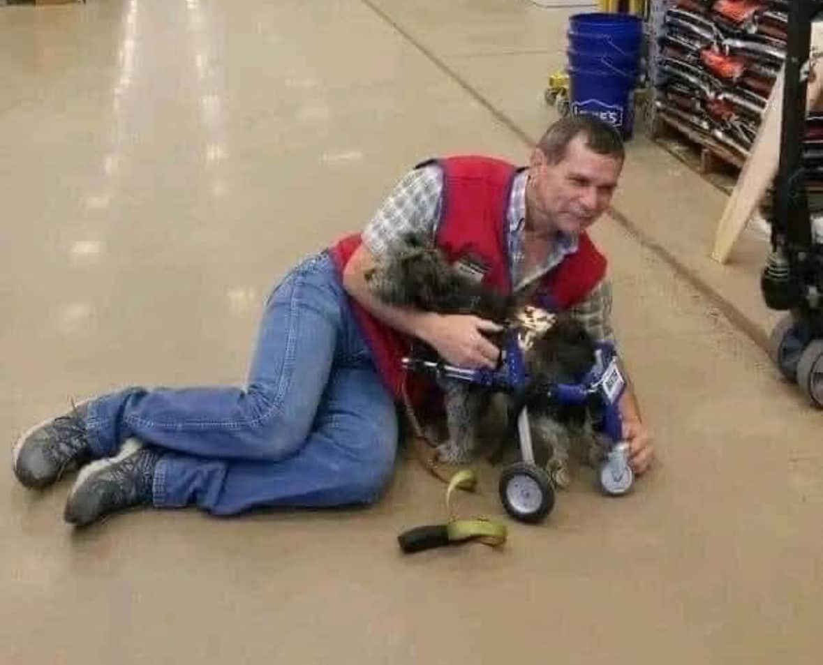 Andy the Hero: A Heartwarming Story of Kindness at Lowes