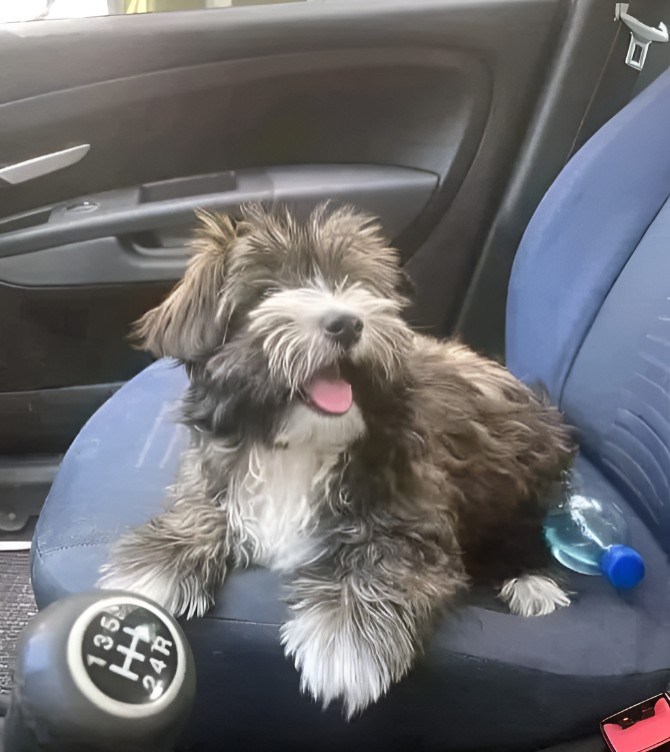 The story of “A Second Chance at Family”