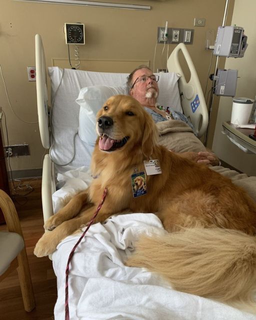 THE THERAPY DOG JUMPED ON HIS BED; THAT WAS WHEN HE FINALLY SPOKE.