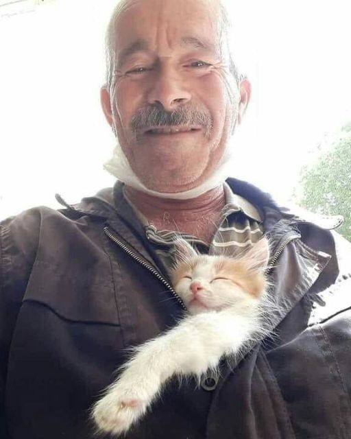 HE SAID HE FOUND HER IN A DITCH—BUT THE COLLAR HIDDEN IN HIS POCKET TOLD A DIFFERENT STORY