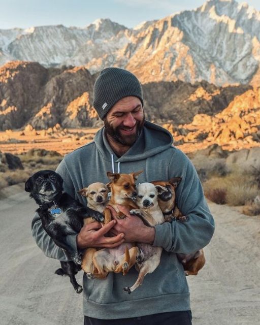 I ended up with five stray chihuahuas after leaving the city to clear my head.