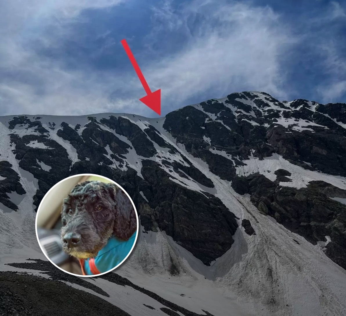 Hikers See ‘Speck Of Black’ On Mountain And Know It’s A Dog In Trouble