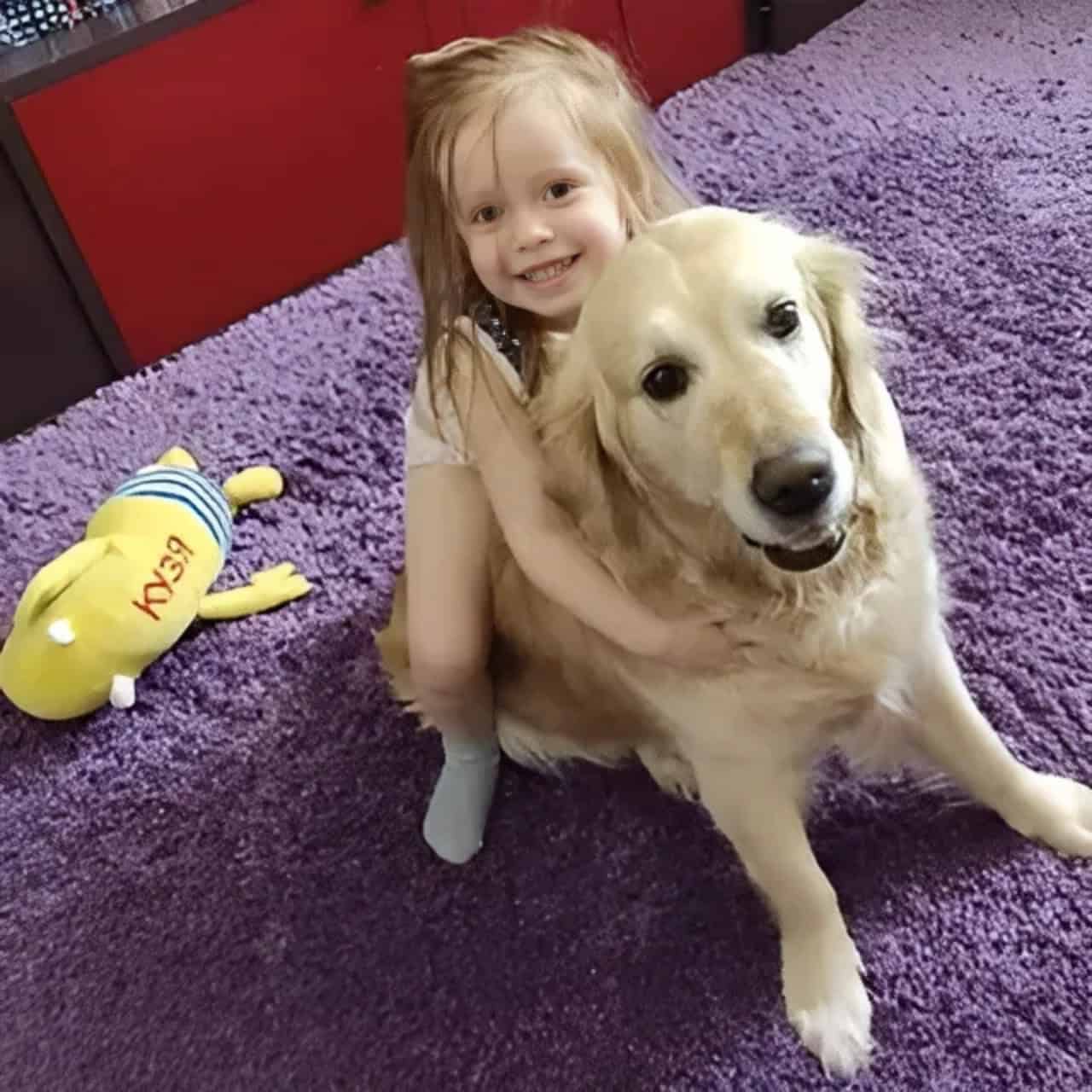 After 300 Days Apart, A Lost Dog’s Emotional Reunion with His Family