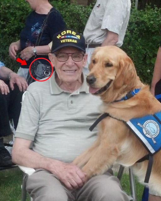 Not until this dog sat in his lap did he ever discuss the war.