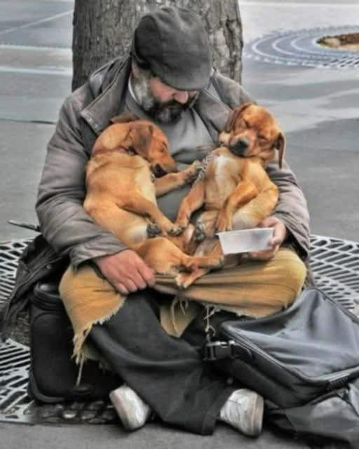 HE FED HIS DOGS BEFORE HIMSELF—BUT WHAT WAS IN HIS BAG TOLD A DIFFERENT STORY