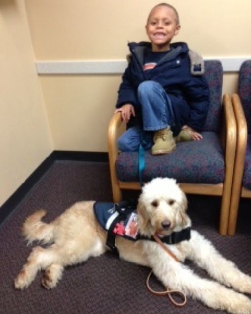 THEY SAID THE DOG WAS FOR HIS SAFETY—BUT HE TOLD ME A SECRET I CAN’T EXPLAIN