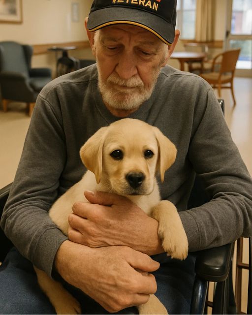 HE DIDN’T SAY A WORD FOR SIX MONTHS—UNTIL HE SAW THE PUPPY AND ASKED A QUESTION NONE OF US WERE READY FOR