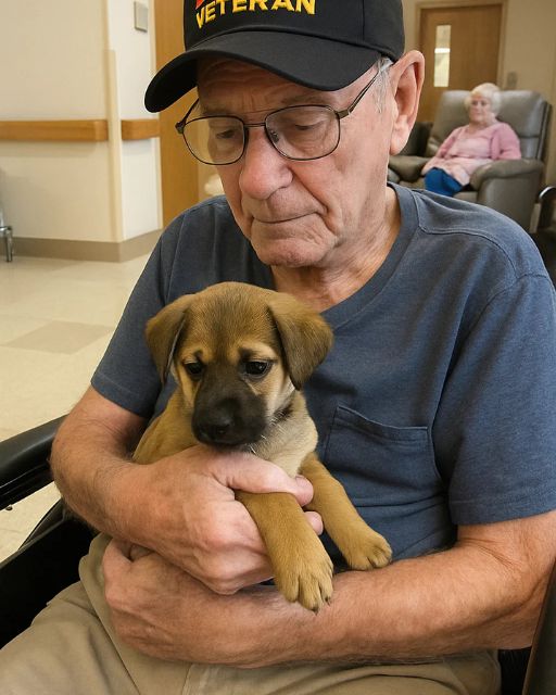HE NEVER SPOKE TO ANYONE AT THE HOME—UNTIL THE DAY THE PUPPY SAT IN HIS LAP AND HE WHISPERED A NAME NONE OF US KNEW