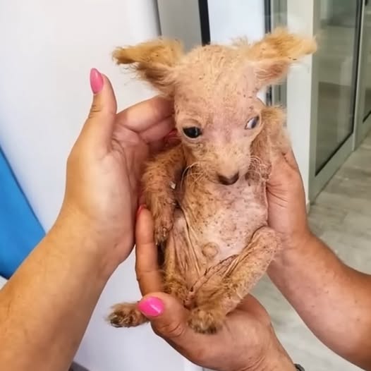 Locked in Darkness His Whole Life, Moka Discovers the True Meaning of Love