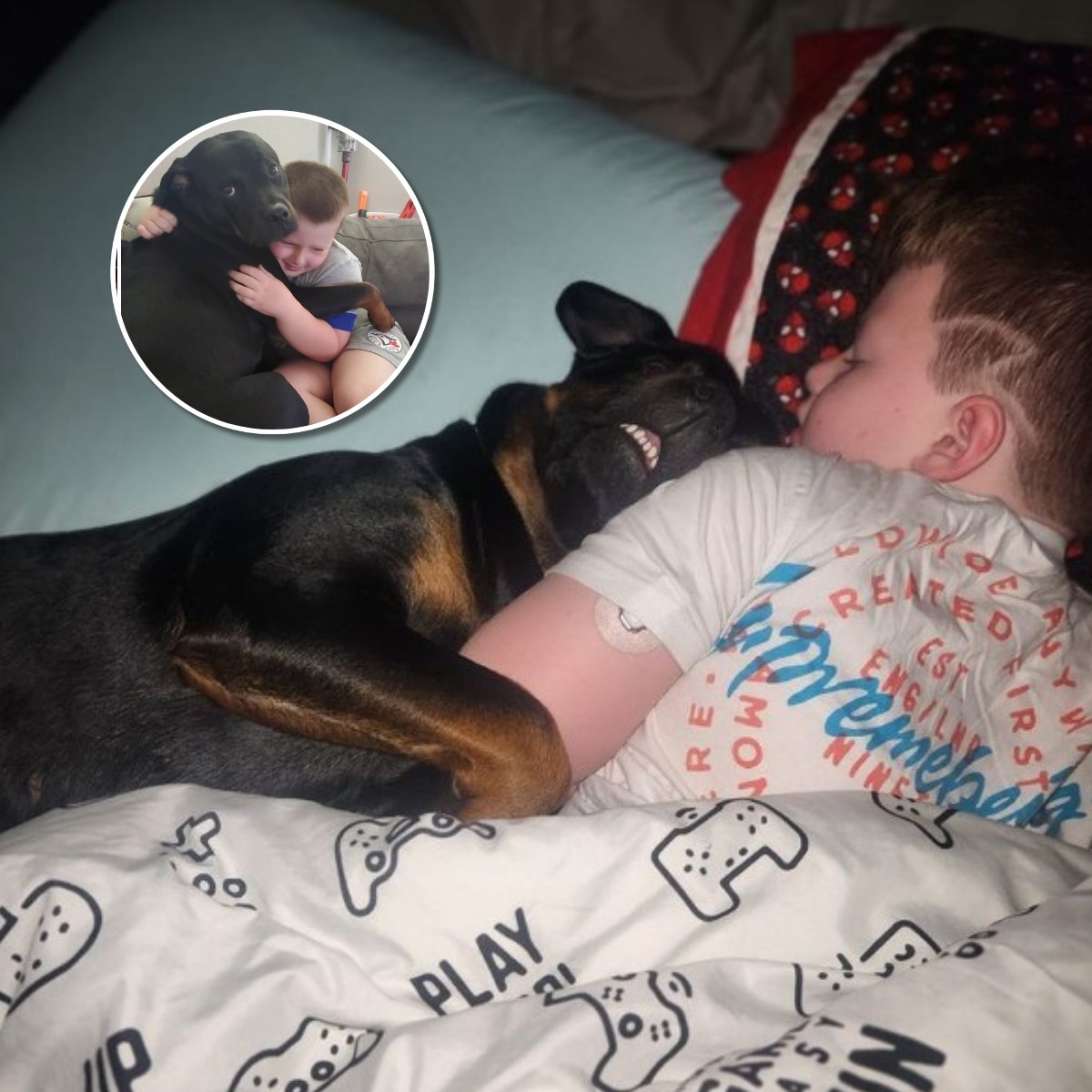 Dog Cuddles Her Brother To Sleep And Ends Up Saving His Life