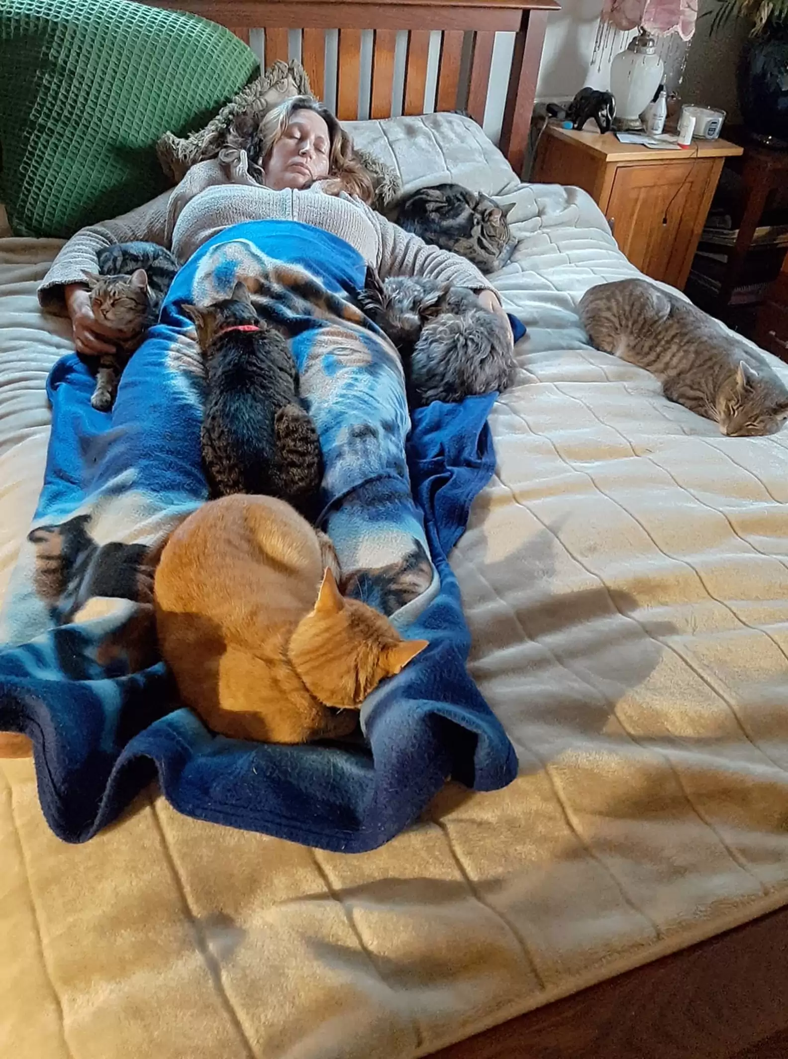 Cats Cuddle With Mom To Help Her Feel Better After Surgery