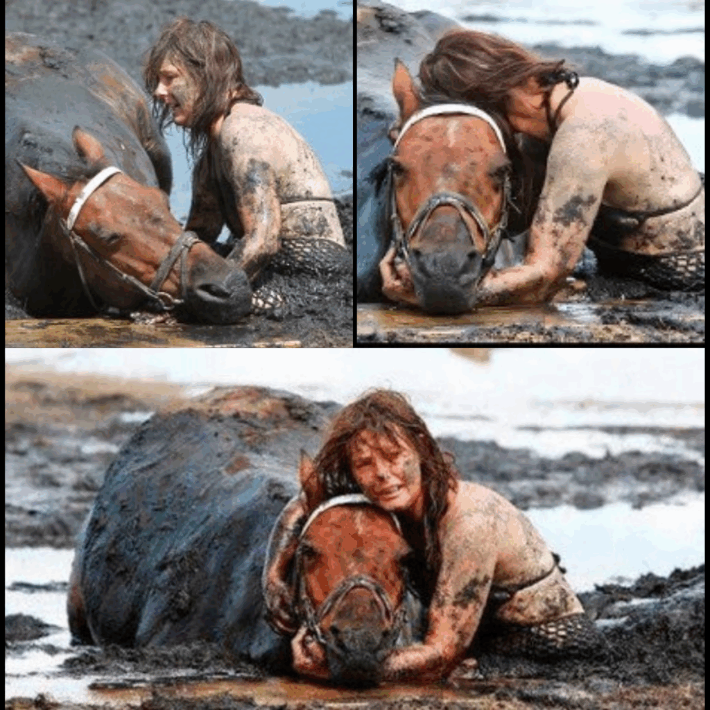 For 3 hours woman stays with trapped horse – then a farmer does everything he can to save its life
