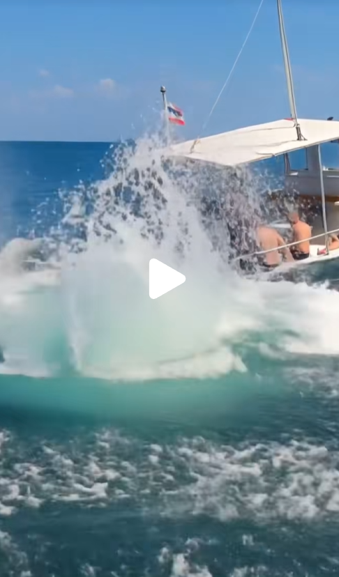 She Jumped In… and What Happened Next Made Everyone Laugh!