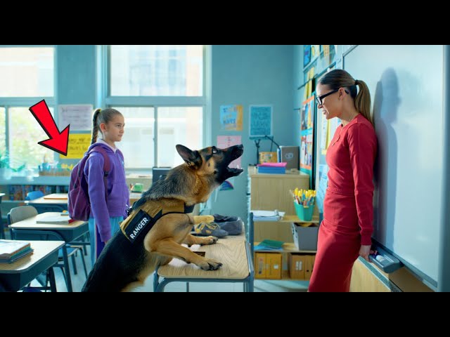 K9 Dog Won’t Stop Barking at Teacher — His Instinct Uncovers a Chilling Secret in Class
