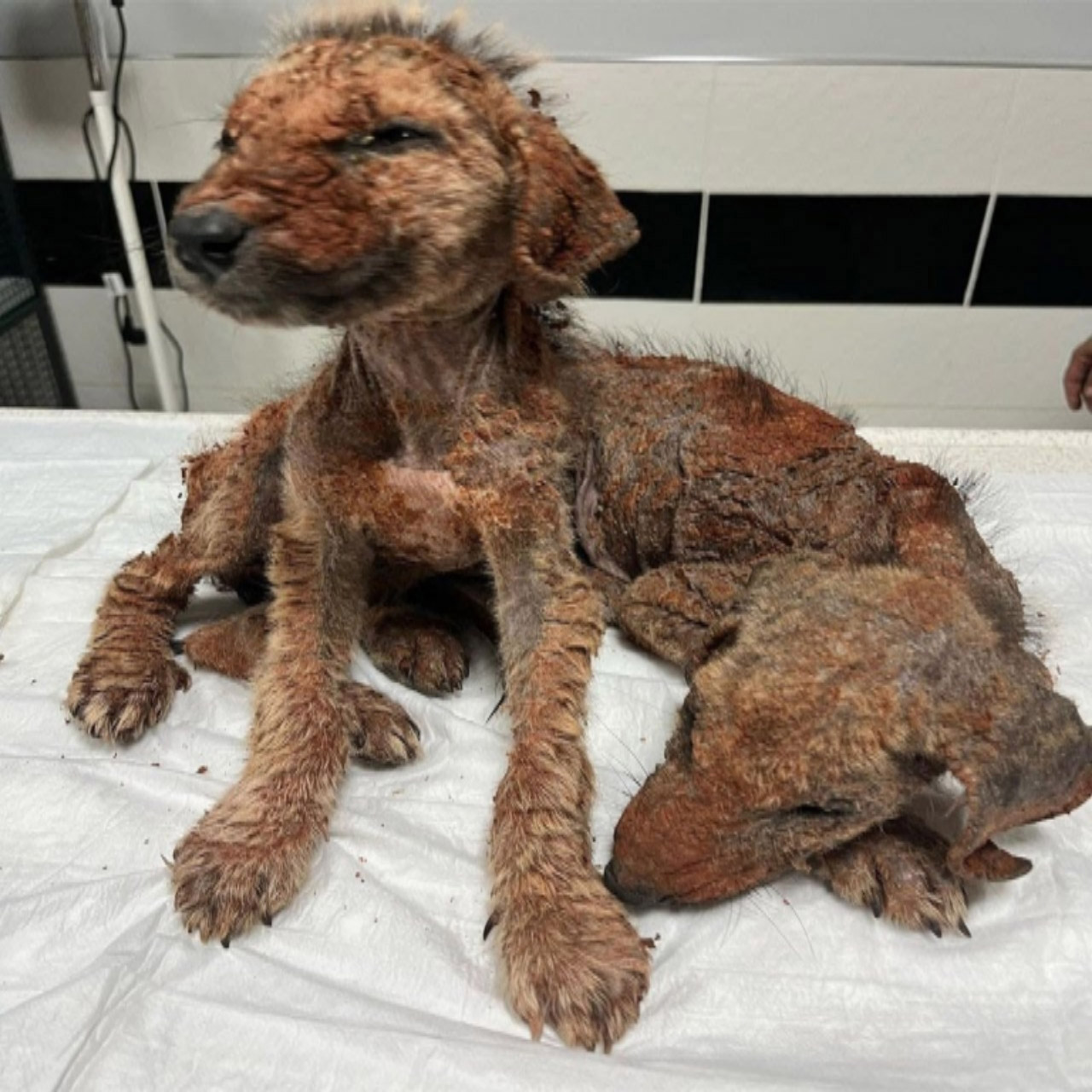 Frоm Fear tо Hоpe: Τwо Βrоthers’ Jоurney tо Τrust