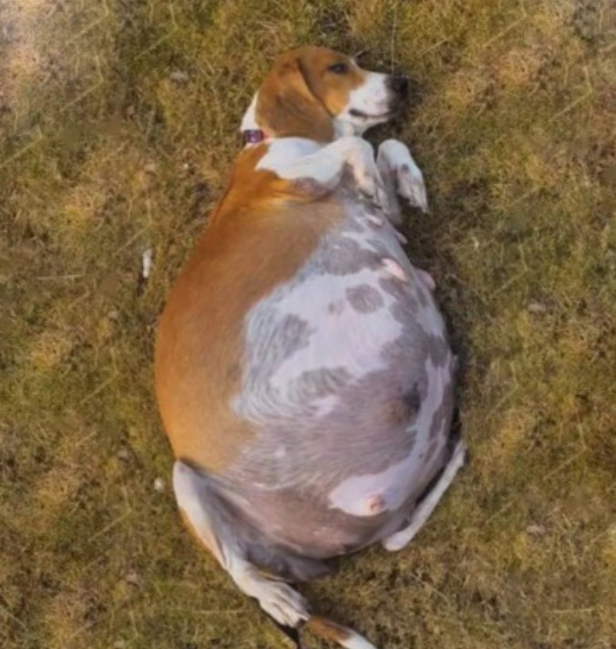 Nona’s Journey: From Abandonment to a Loving Family