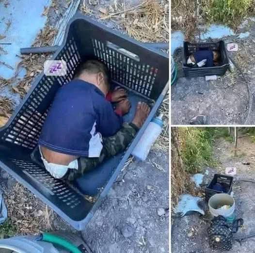 The missing toddler has been found and is safe.