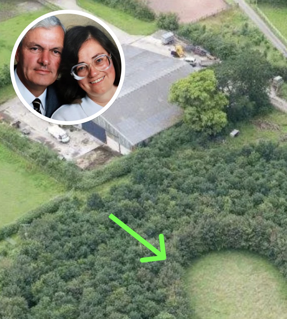 Husband Plants 6,000 Trees To Honor Deceased Wife, 15 Years Later Photos Reveal His True Motive!