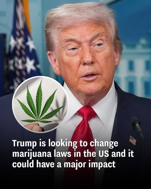 A Historic Shift? U.S. Federal Government Considers Reclassification of Cannabis Amid Growing Calls for Reform
