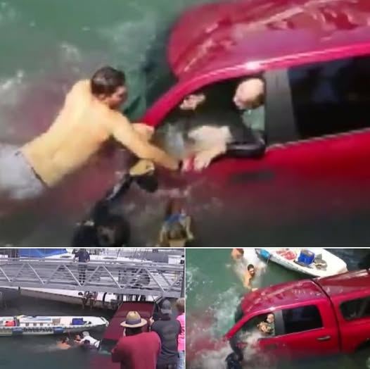 Good Samaritans Restored Faith In Humanity By Rescuing Drowning Elders And Their Pet Chihuahua!