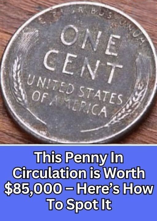 Here Is How To Spot It – This Penny In Circulation is Worth $85,000