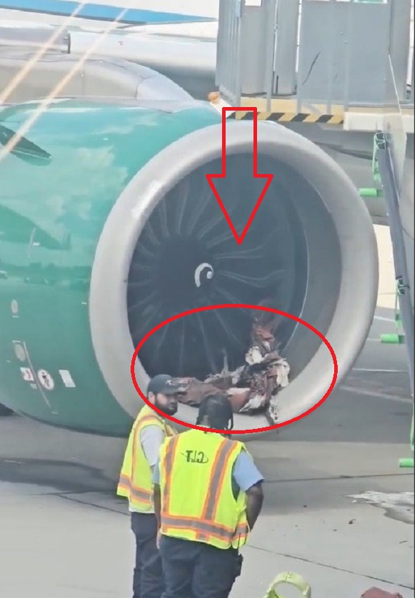 HORROR ON THE TARMAC: A Frontier plane’s engine shredded…Video in comments