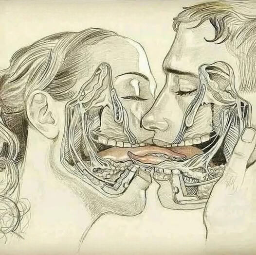 When Kisses Fade: Understanding and Rebuilding Connection in Relationships