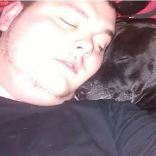 Geo the dog sensed something was wrong and saved a life