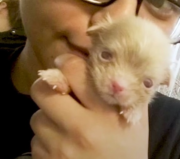She Heard Strange Weeping from Her Neighbor’s Yard. What She Found Changed a Puppy’s Life Forever.