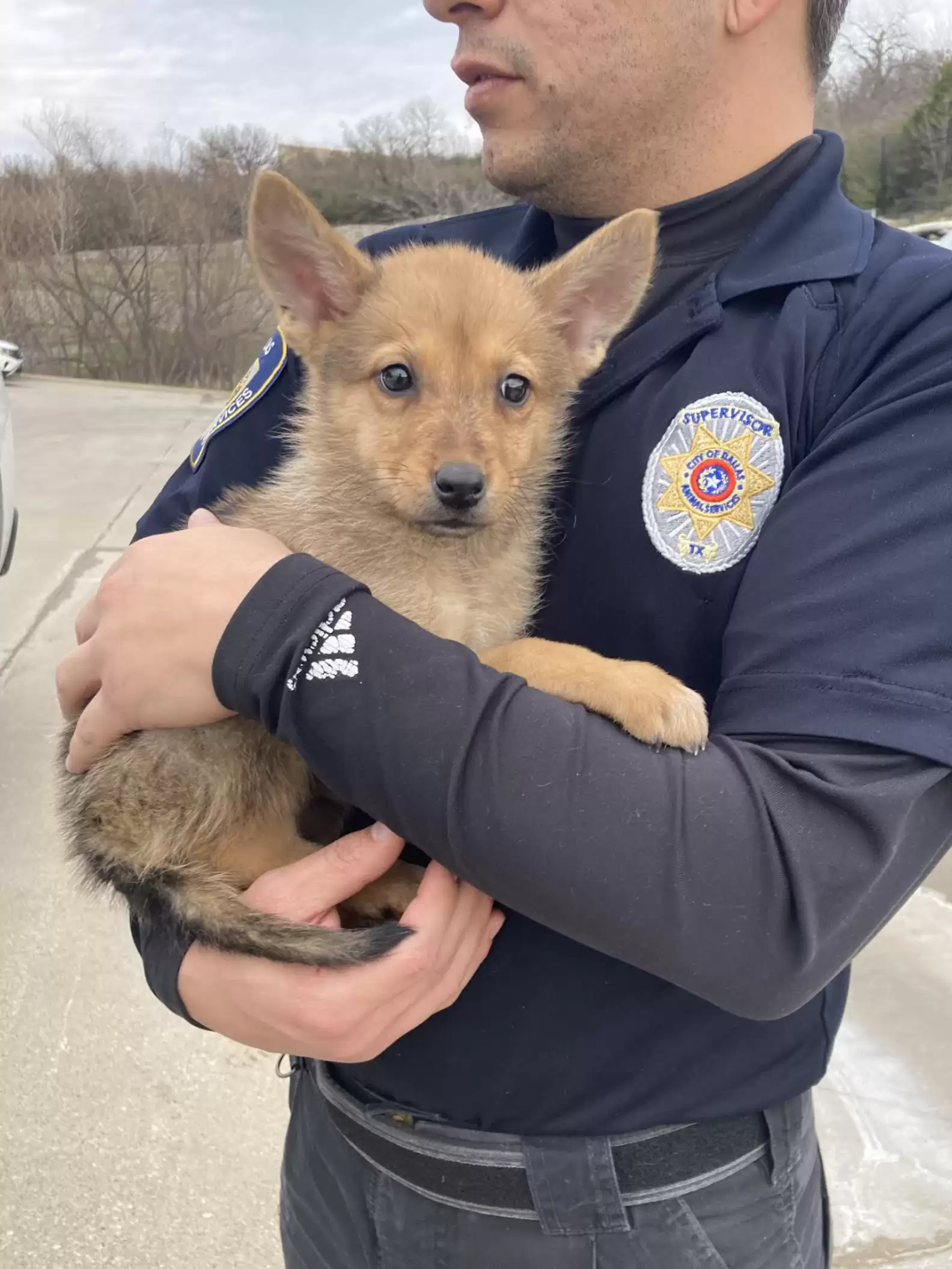 Mystery Animal Found By Dumpster Has Rescuers Scratching Their Heads