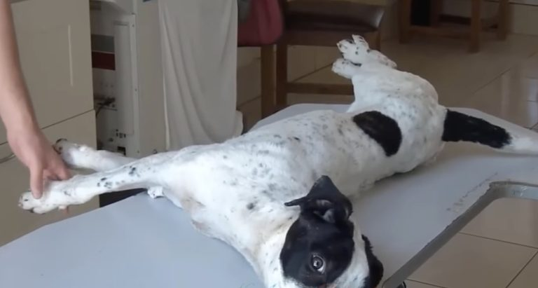 From Frozen in Fear to Walking in Love Micky’s Miraculous Journey Back to Life