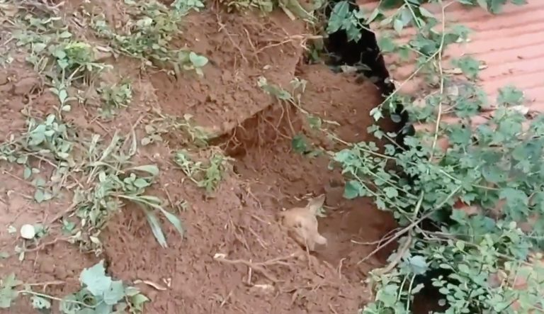 Amid the Worst Floods in Years, One Community Fought Back with Courage, Compassion… and a Few Miracles