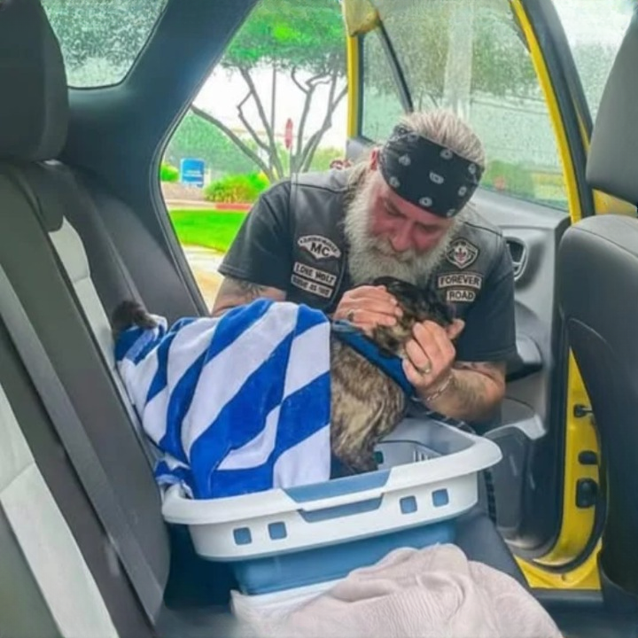 A Tough Biker Broke Down Over an Injured Puppy — Then a Stranger Stepped In and Changed Everything